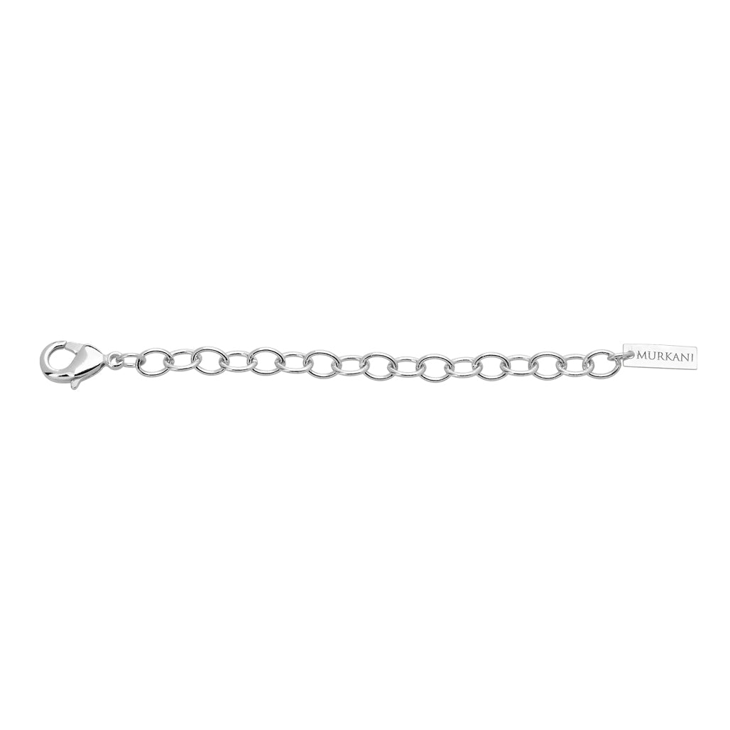Silver Extension Chain – The Loved