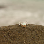 Reef Ring